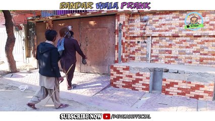 Bandar Wala Pank By Nadir Ali & Team P4Pakao 2020