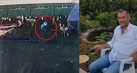Boğa saldırdığı sahibini öldürdü; o anlar kameraya yansıdı