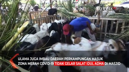 Kesepakatan Ulama Terkait Aturan Sembelih Hewan Kurban