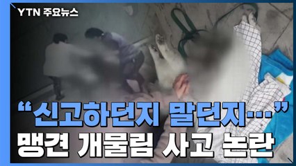 [퀵터뷰] '로트와일러' 사고 목격자 "평소에도 현관문에 방치" / YTN