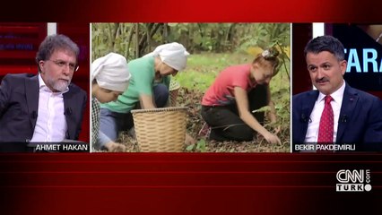 Son Dakika! Bakan Pakdemirli mısır alım fiyatını açıkladı | Video