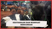 5 Manfaat Kurban, Salah Satunya Menghapus Dosa