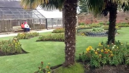 National Trust Calke Abbey gardens