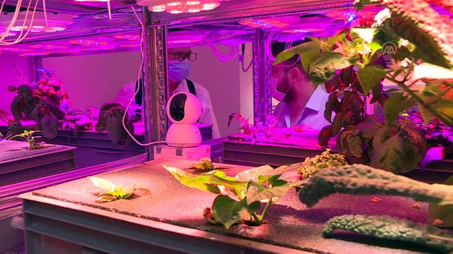 Rektör ve öğrencisi ortak olup yeni nesil bitki tesisi kurdu - İZMİR