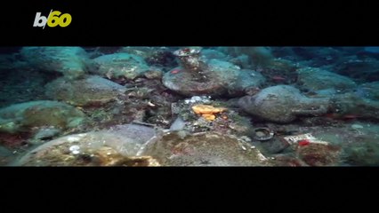 ‘Acropolis of Shipwrecks’ Open to the Public Thanks to A.I.