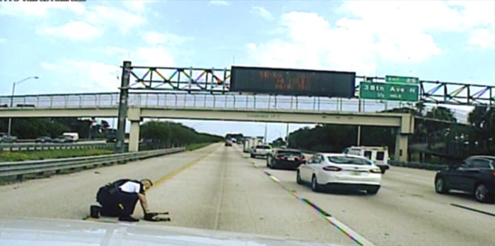 Un policier voit un chien renversé au milieu de l'autoroute : Il n'a pas hésité une seule seconde à le sauver
