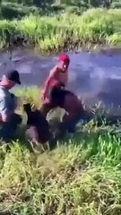 Un pêcheur se fait cogner par un poisson