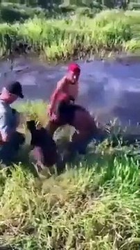 Un pêcheur se fait cogner par un poisson