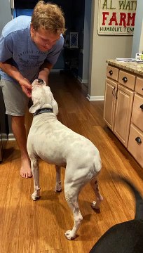 Chin Scratches Cause Legs to Shake