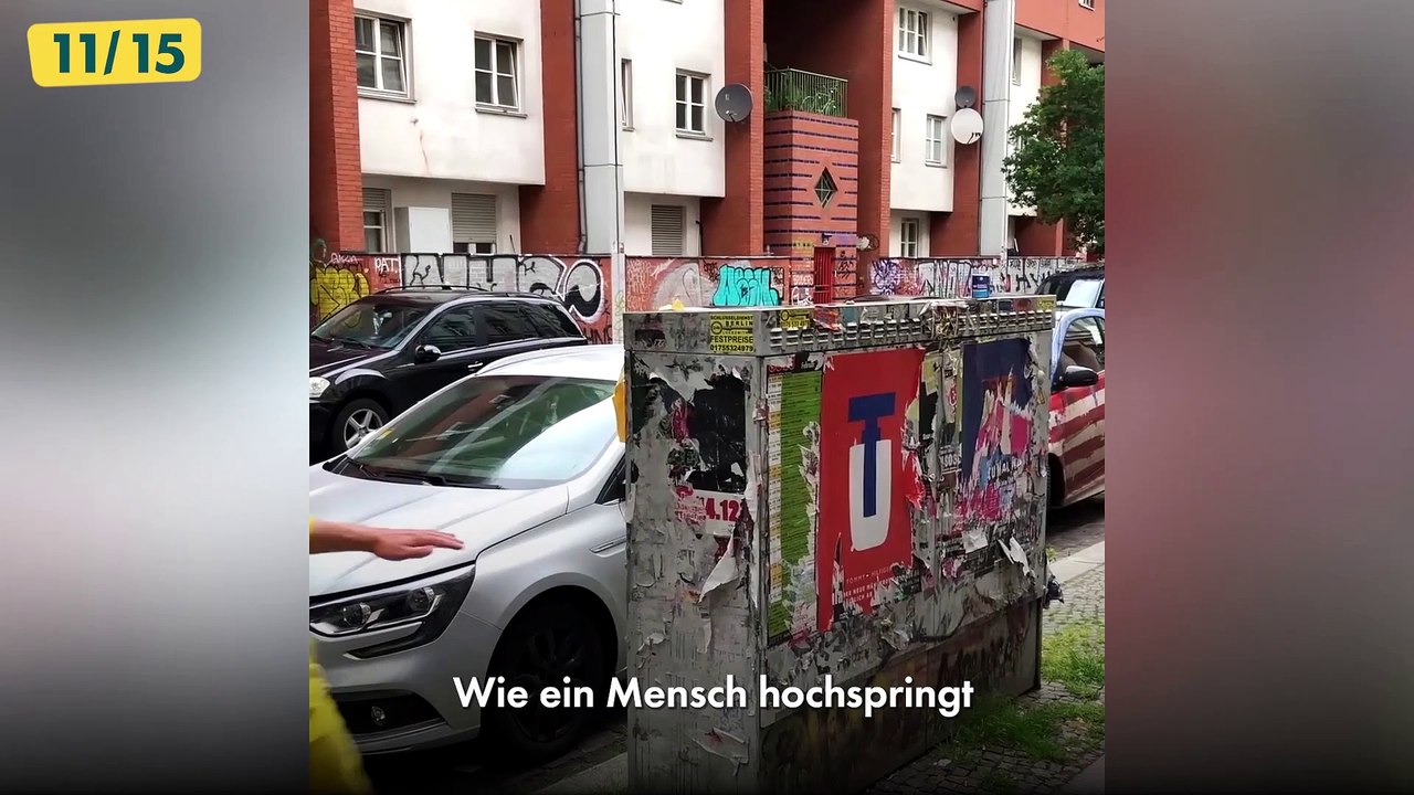 Mensch vs cartoon