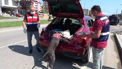 Çataklı: 'Ölümlü kazalarda yüzde 27’lik azalma oldu'