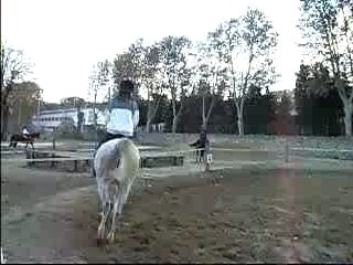 Vidéos galop 4 entrainements