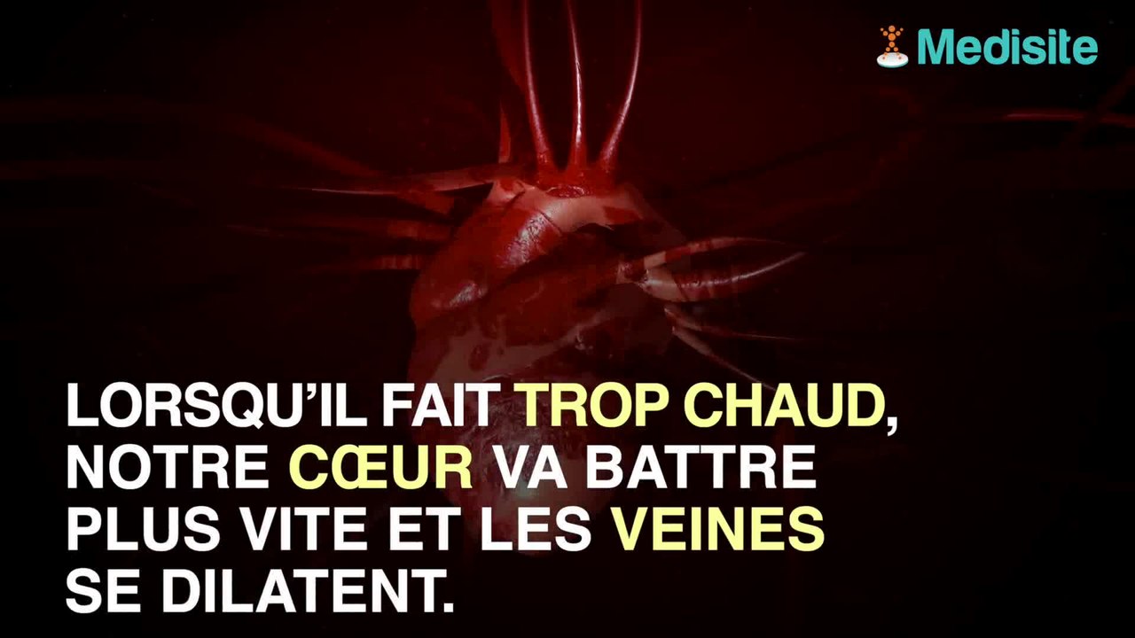 Comment survient une hydrocution ?