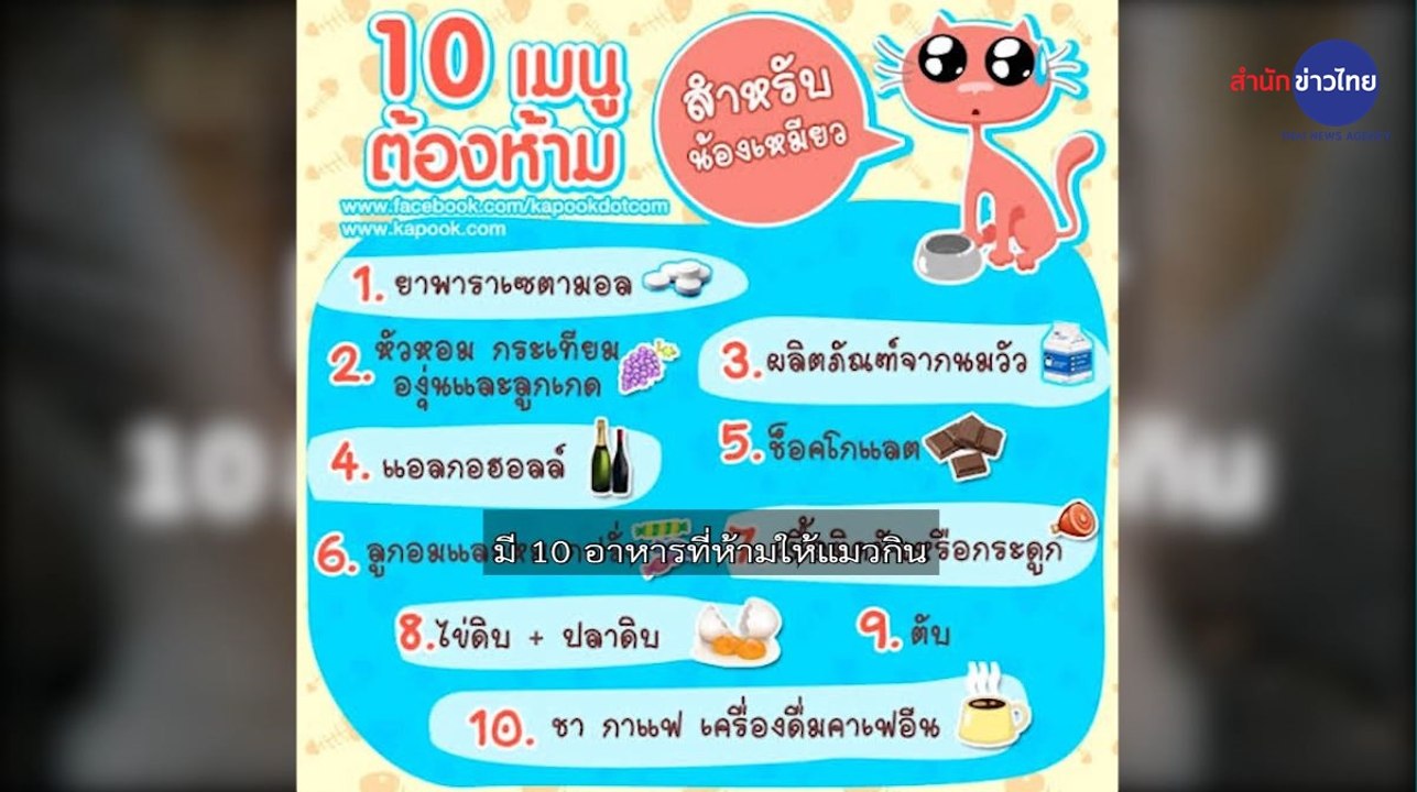 ชัวร์ก่อนแชร์ FACTSHEET : 10 อาหารห้ามให้แมวกิน จริงหรือ ?