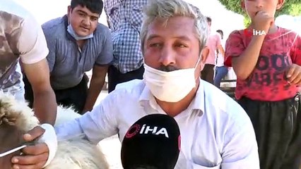 Aldığı kurbanlığa virüs bulaşmasın diye maske taktı