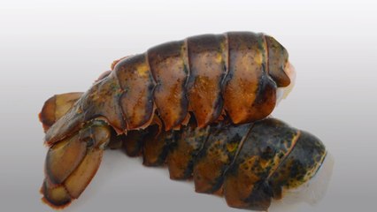 How to Cook Lobster Tails