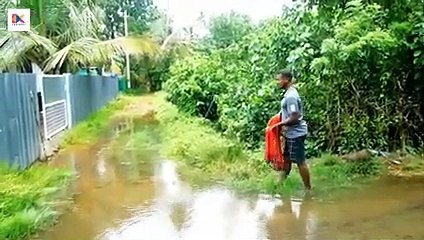 റോഡിൽ കയറി വരുന്ന മീനുകൾ.. ----_Fishing at road(240P)_1