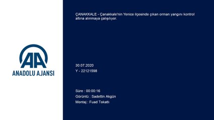 Orman yangını kontrol altına alınmaya çalışılıyor - İSTANBUL