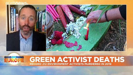 'Deadliest year': Record number of land and environmental activists killed in 2019
