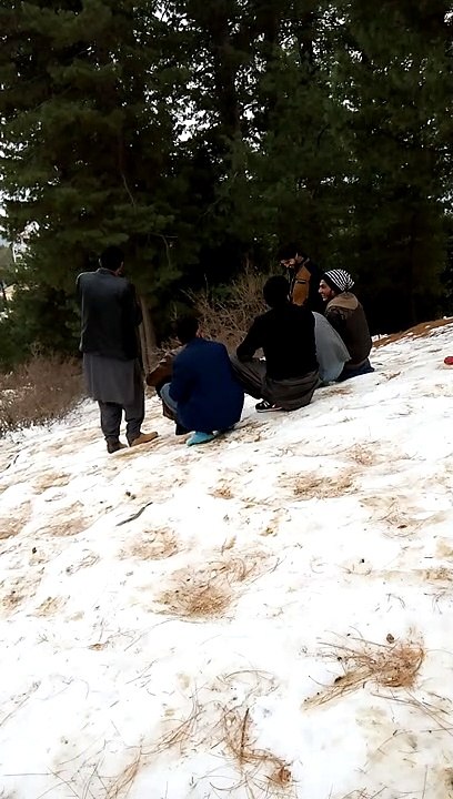 FUNNY MOMEMNT IN MURRE