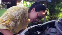 Kitten rescued after being chased into car engine by stray dogs