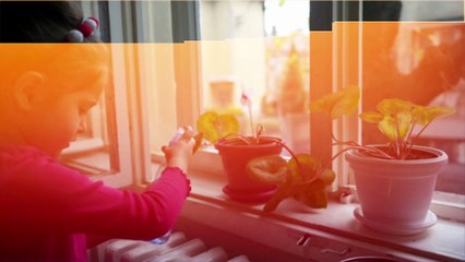 10 Plants That Are Safe for Kids and Pets