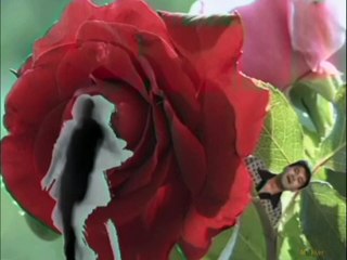 Sinan Sakic_-_Ruza i Trn