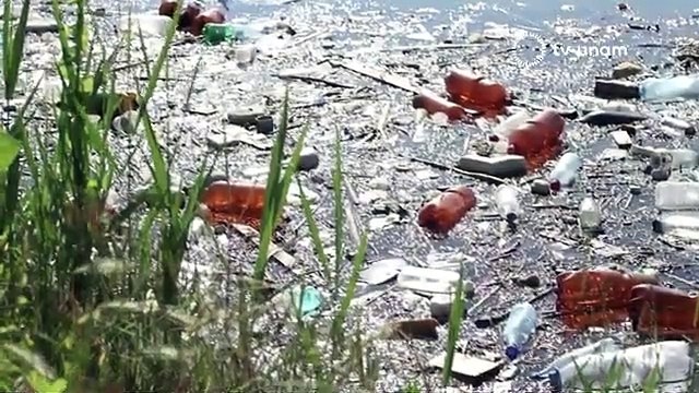 Medio ambiente y cambio climático Políticas públicas