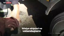 Antalya'da yangından kurtarılan kaplumbağa suyla serinletildi