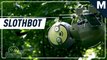 Georgia Tech built a ‘slothbot’ that slowly climbs through trees — Strictly Robots