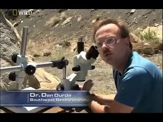 Dinozor Çağı  - Nesli Tükenenler - Türkçe Belgesel Serisi _248