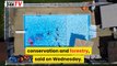 US Daily News - Maine tells swimmers to stay in shallow water after fatal shark attack -_US Daily News