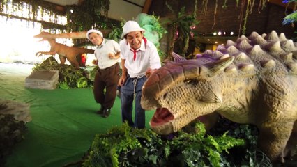 dbb-chibolos-shows-virtuales-300720