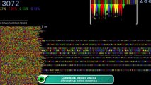 Cientistas testam vacina alternativa neles mesmos