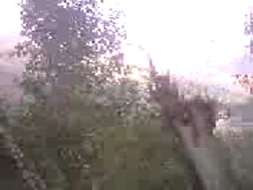 PALESTRO-KABYLIE-ALGERIE