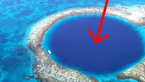 Here's what's at the bottom of the Great Blue Hole in Belize