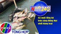 Người đưa tin 24G (18g30 ngày 30/07/2020) - Cá nuôi lồng bè trên sông Đồng Nai chết hàng loạt