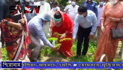 হোমনায় মুজিববর্ষের বৃক্ষরোপন কর্মসূচীর উদ্বোধন করলেন সেলিমা আহমাদ এমপি