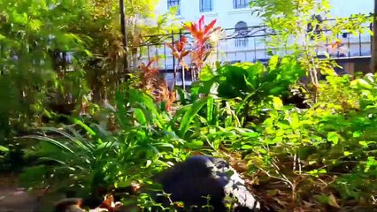 Rizal Park 2020 (Luneta), Philippines