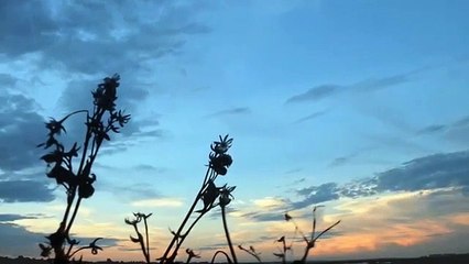 Free footage video background (remake) ( 360 X 640 )