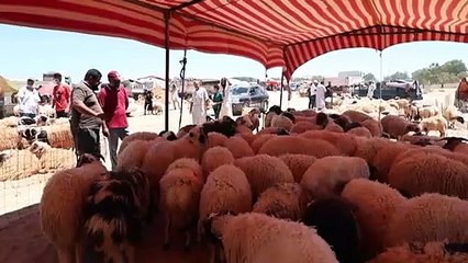 وباء كوفيد-19 وغلاء الأسعار يلقيان بظلهما على العيد في ليبيا