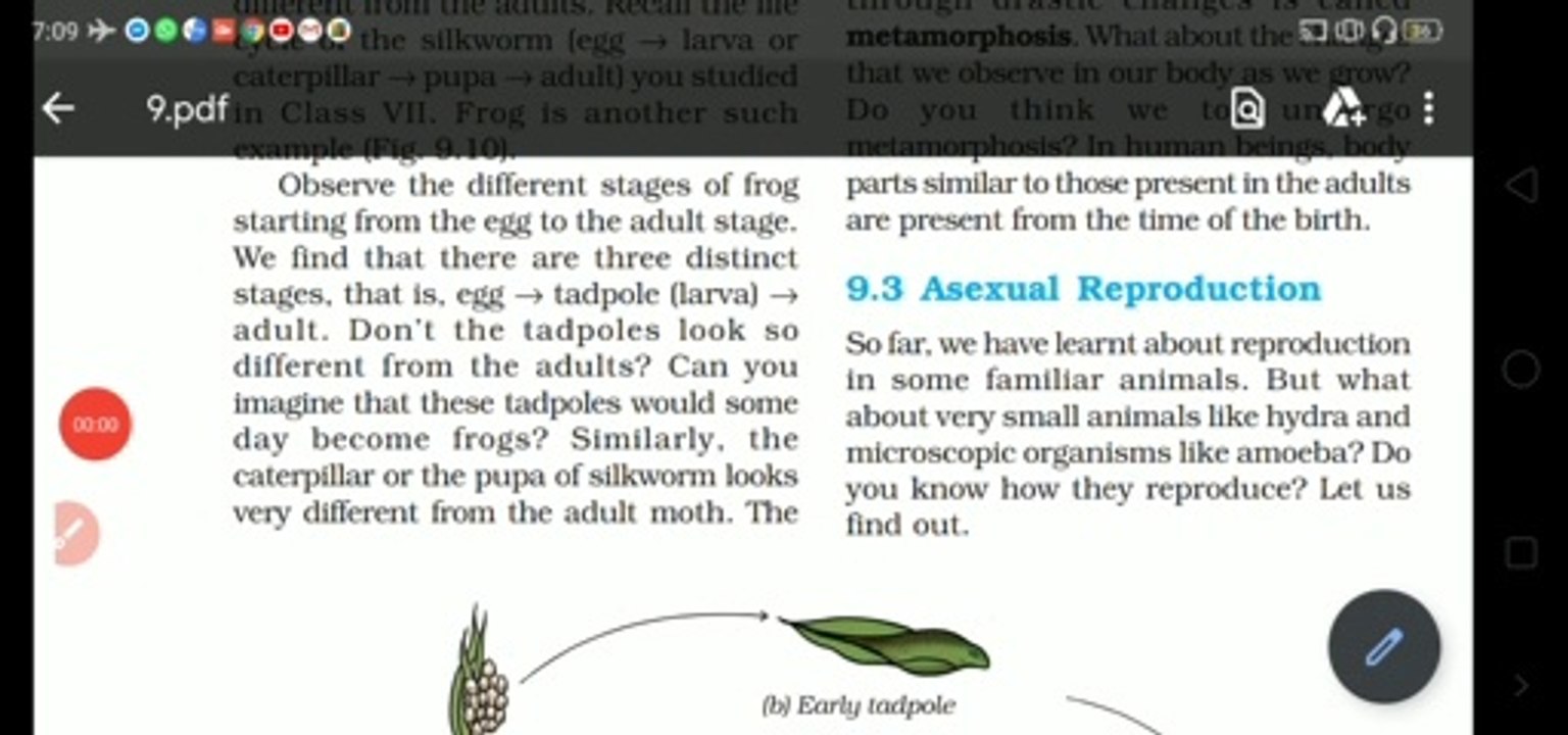 Asexual reproduction