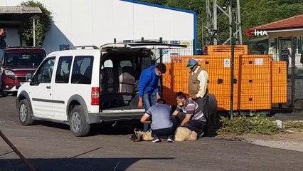 Kimisi elinden kaçırdı, kimisi satın aldığı kurbanını pazarda kestirdi