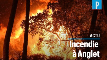Le feu ravage la forêt d'Anglet