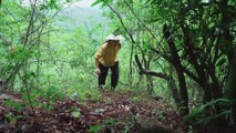 Wild elves in the mountains of Yunnan—Colorful miscellaneous mushrooms [Little Brother in West Yunnan]