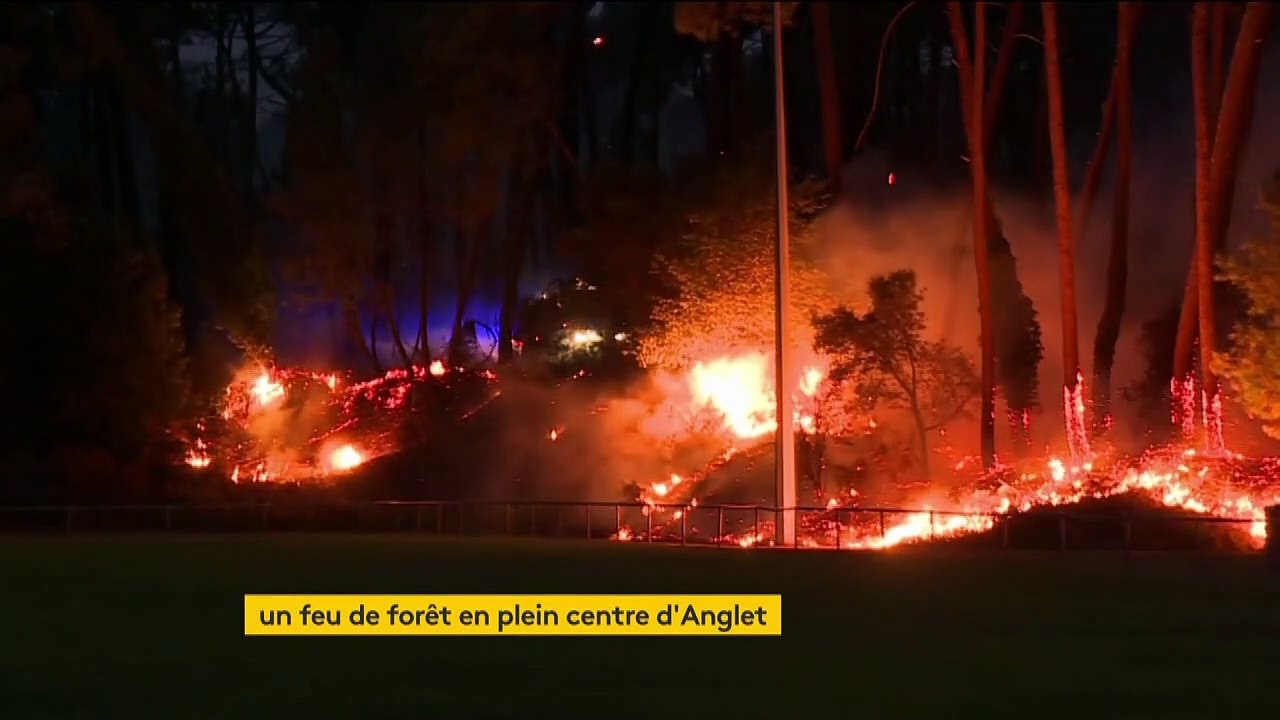 Pyrénées-Atlantiques : un important feu ravage la forêt à Anglet