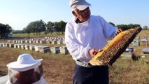 Gezgin arıcıların merada geçen buruk bayramı (1) - KIRKLARELİ
