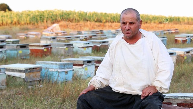 Gezgin arıcıların merada geçen buruk bayramı (2) - KIRKLARELİ