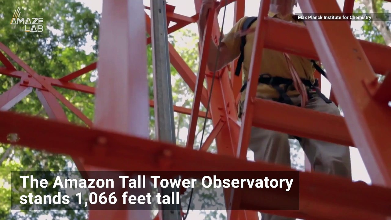 South America’s Tallest Tower Stands in the Middle of the Amazon Rainforest