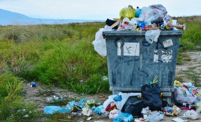 Homo Contaminador: El ser humano es culpable